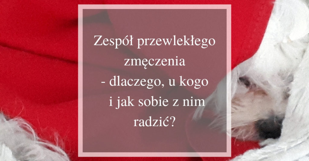 Kogo I Dlaczego Nazywano Lwem Lechistanu zespół przewlekłego zmęczenia- u kogo, dlaczego i jak sobie z nim radzić